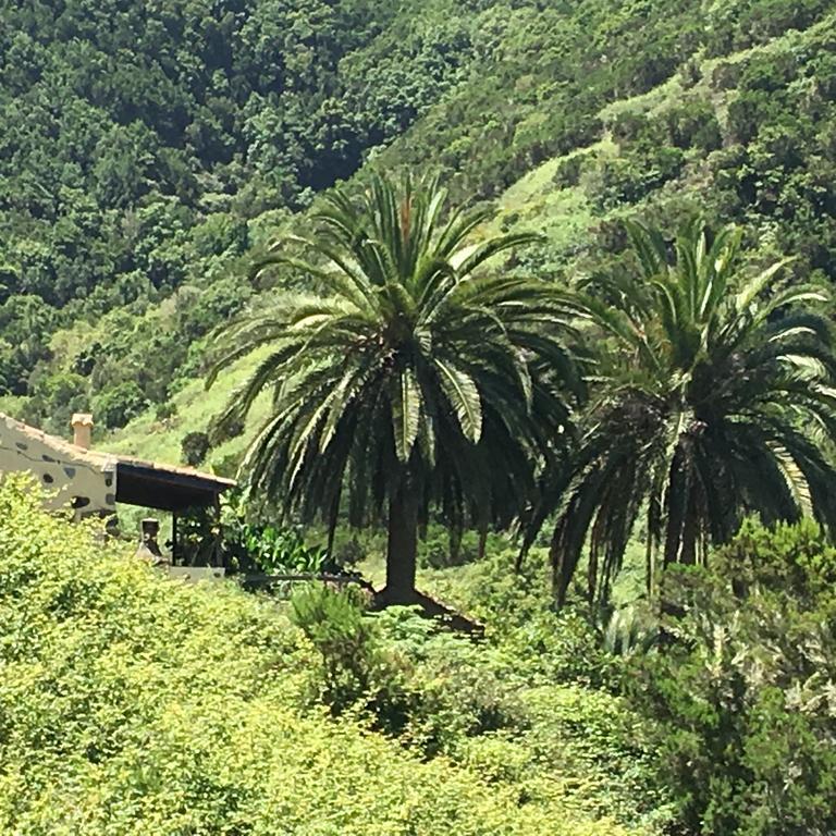 Casa Rural El Rincon De Antonia Agulo Buitenkant foto