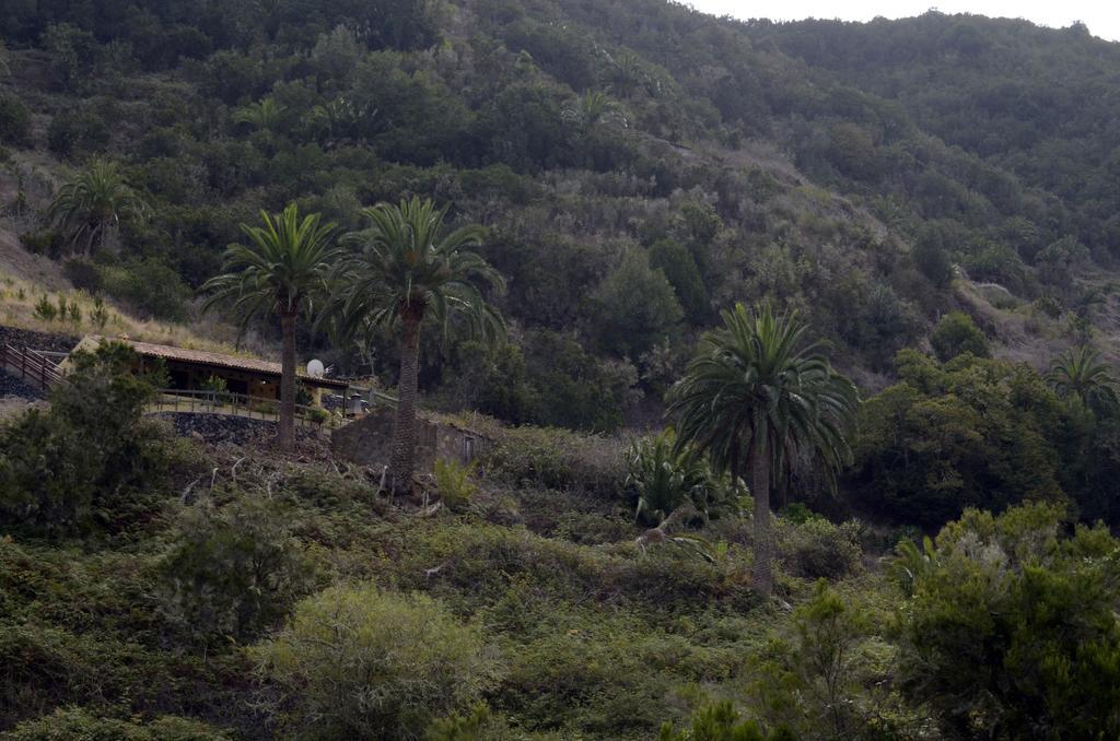 Casa Rural El Rincon De Antonia Agulo Buitenkant foto