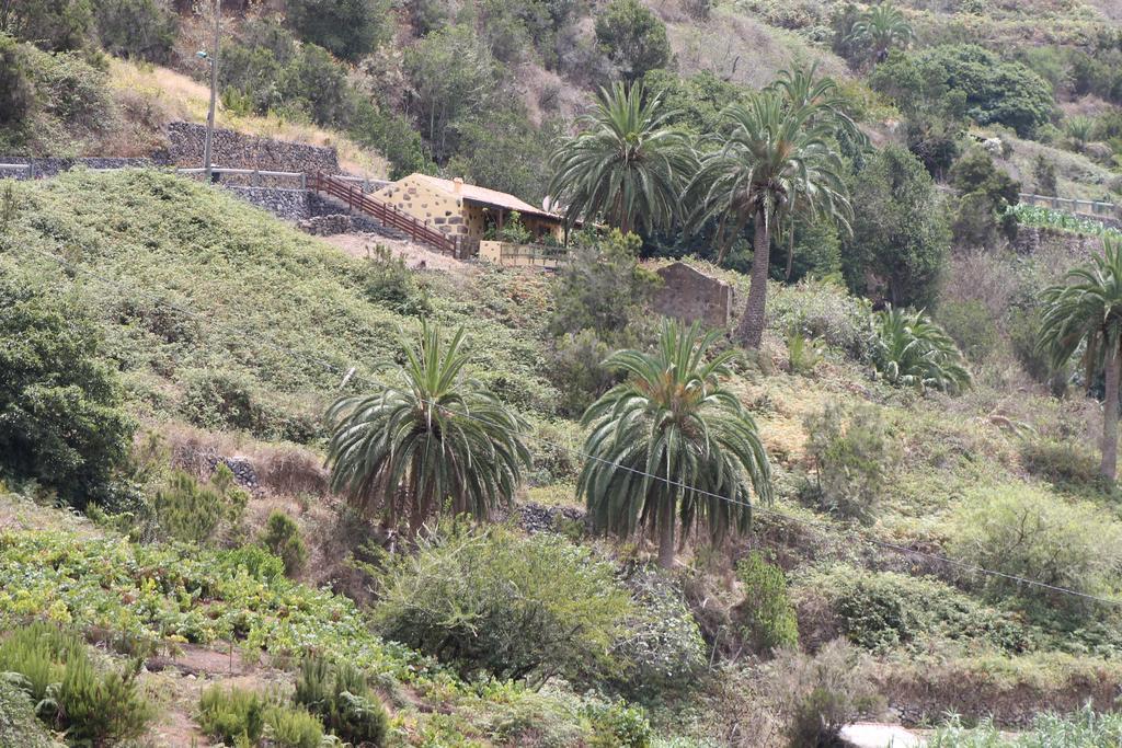 Casa Rural El Rincon De Antonia Agulo Buitenkant foto